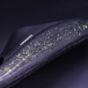RAX 2 - Stardust Edition - Mirage Iridium - 画像 (2)